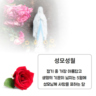 1fbaedde5aa20b71011890559c0b398a_1593775236_3646.jpg 1fbaedde5aa20b71011890559c0b398a_1593775236_3646.jpg