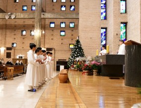 복사단 졸업식 사진 올립니다.

추가 사진은 네이버카페 빛사모 목동성당 사진첩에서 감상하실 수 있습니다. 카페주소 https://cafe.naver.com/mtcpic