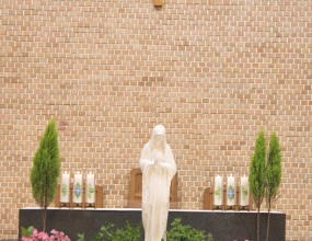 성모의 밤 사진 올립니다.추가 사진은 네이버카페 빛사모 목동성당 사진첩에서 감상하실 수 있습니다. 카페주소&nbsp;https://cafe.naver.com/mtcpic